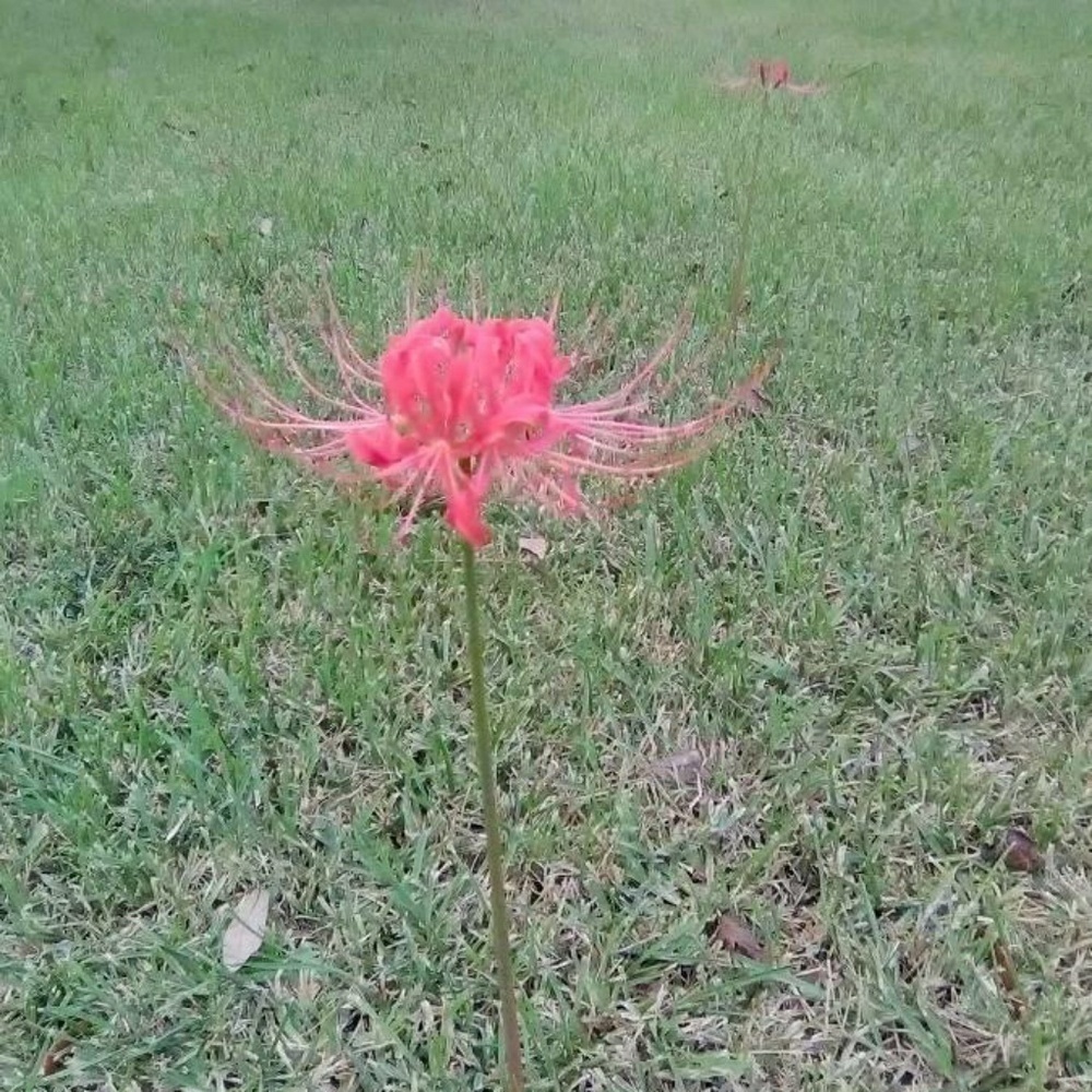 Accepting offers Meet your Posher, Taputt